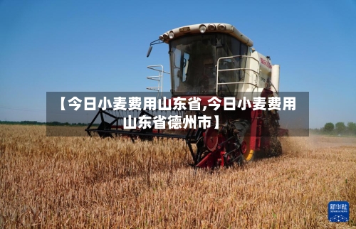 【今日小麦费用山东省,今日小麦费用山东省德州市】-第2张图片