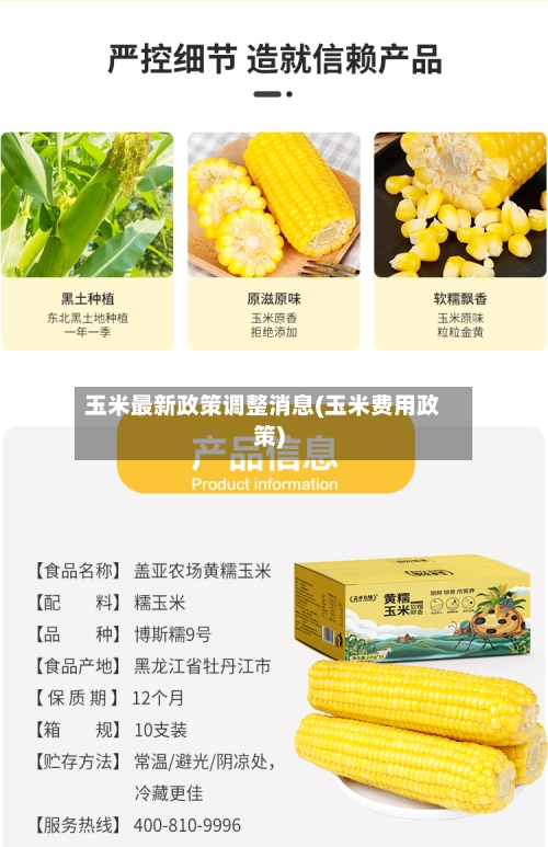 玉米最新政策调整消息(玉米费用政策)-第1张图片
