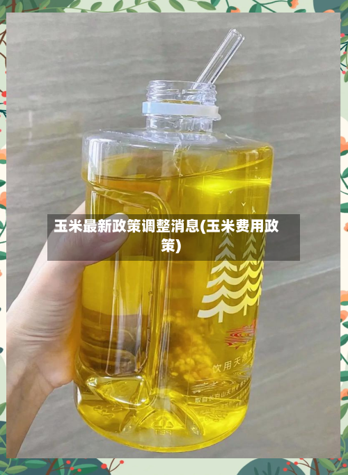玉米最新政策调整消息(玉米费用政策)-第3张图片