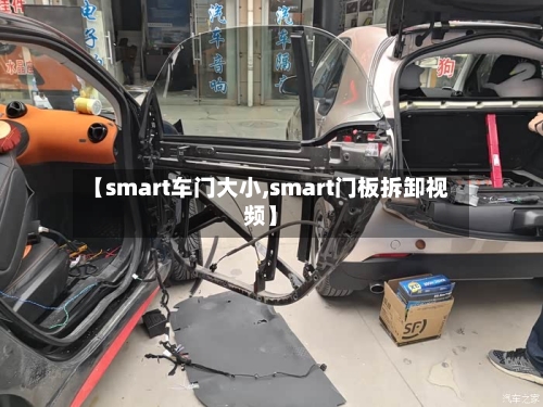 【smart车门大小,smart门板拆卸视频】-第1张图片