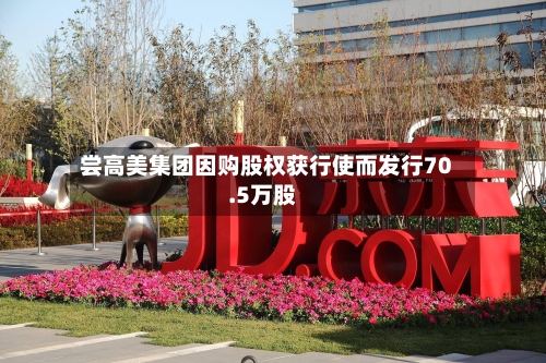 尝高美集团因购股权获行使而发行70.5万股-第1张图片