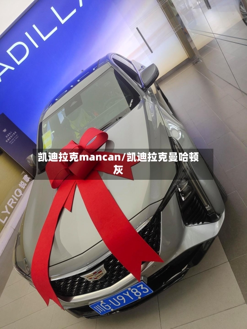 凯迪拉克mancan/凯迪拉克曼哈顿灰-第2张图片