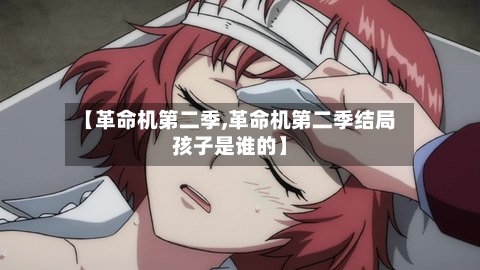 【革命机第二季,革命机第二季结局孩子是谁的】-第1张图片