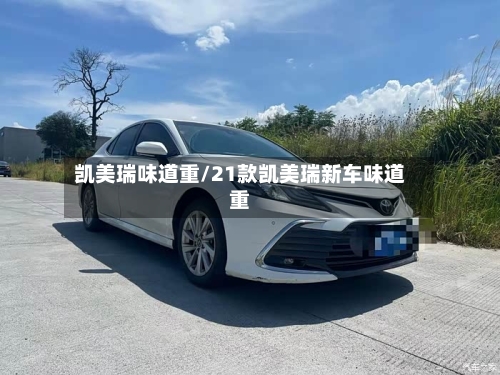 凯美瑞味道重/21款凯美瑞新车味道重-第1张图片