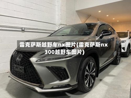 雷克萨斯越野车nx图片(雷克萨斯nx300越野车图片)-第2张图片