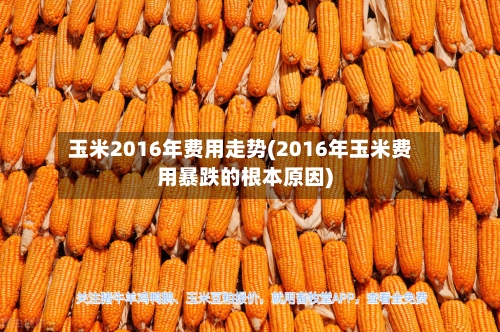 玉米2016年费用走势(2016年玉米费用暴跌的根本原因)-第2张图片