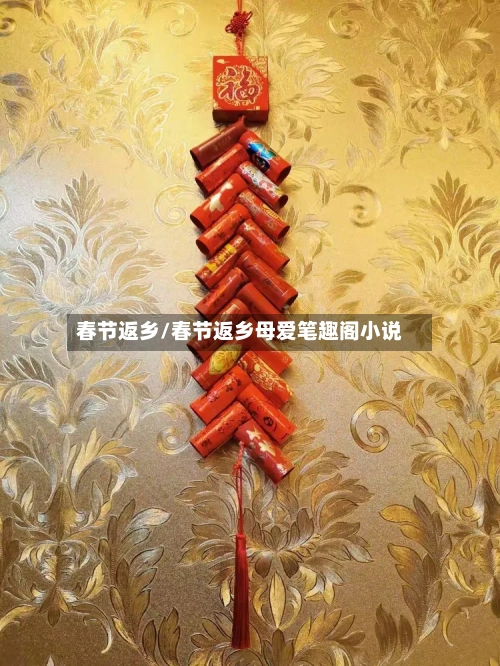 春节返乡/春节返乡母爱笔趣阁小说-第3张图片