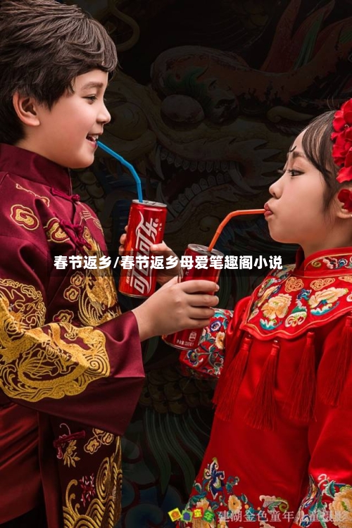 春节返乡/春节返乡母爱笔趣阁小说-第1张图片