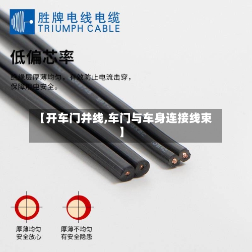 【开车门并线,车门与车身连接线束】-第2张图片