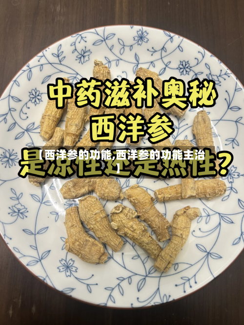 【西洋参的功能,西洋参的功能主治】-第1张图片