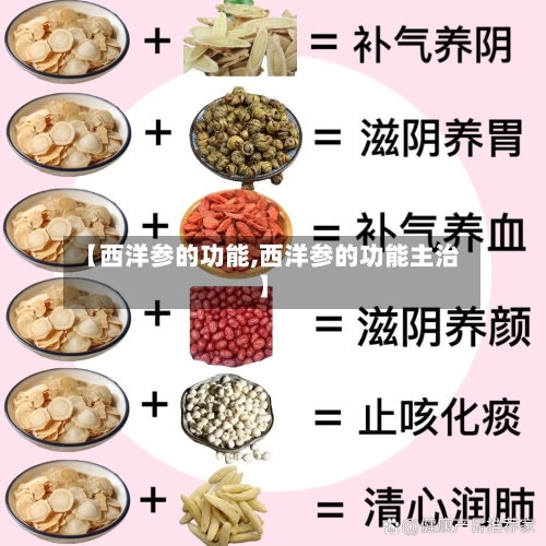 【西洋参的功能,西洋参的功能主治】-第3张图片