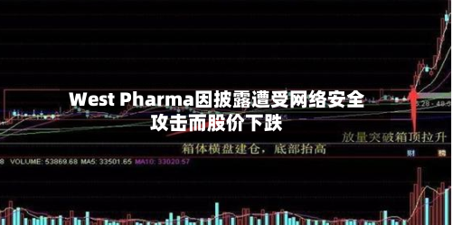 West Pharma因披露遭受网络安全攻击而股价下跌-第3张图片