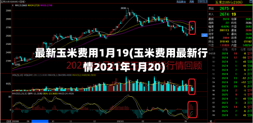 最新玉米费用1月19(玉米费用最新行情2021年1月20)-第1张图片