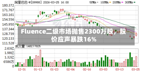 Fluence二级市场抛售2300万股，股价应声暴跌16%-第1张图片