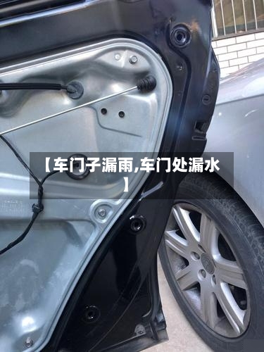 【车门子漏雨,车门处漏水】-第1张图片