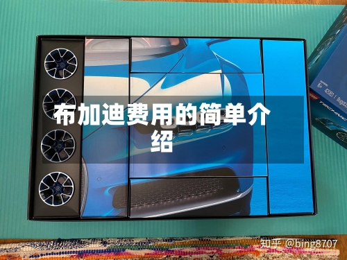 布加迪费用的简单介绍-第1张图片