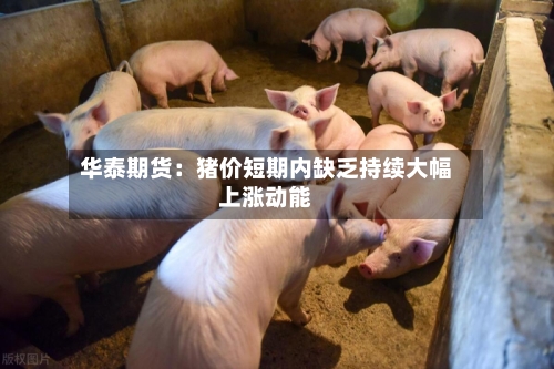 华泰期货：猪价短期内缺乏持续大幅上涨动能-第1张图片