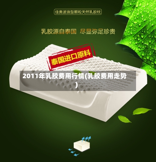 2011年乳胶费用行情(乳胶费用走势)-第3张图片