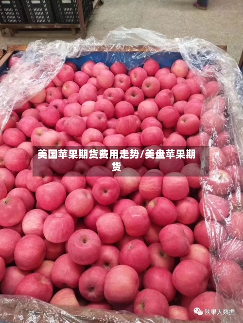 美国苹果期货费用走势/美盘苹果期货-第1张图片