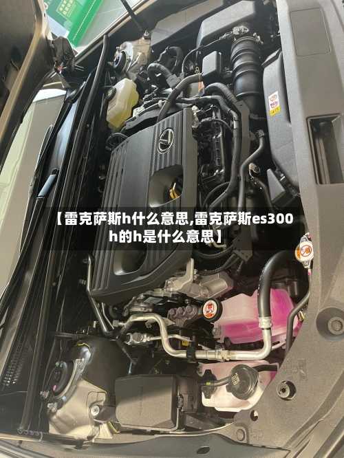 【雷克萨斯h什么意思,雷克萨斯es300h的h是什么意思】-第2张图片