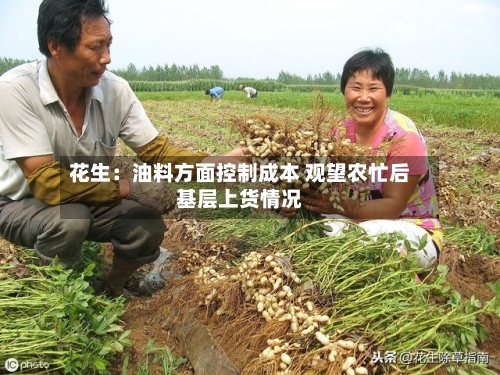 花生：油料方面控制成本 观望农忙后基层上货情况-第2张图片