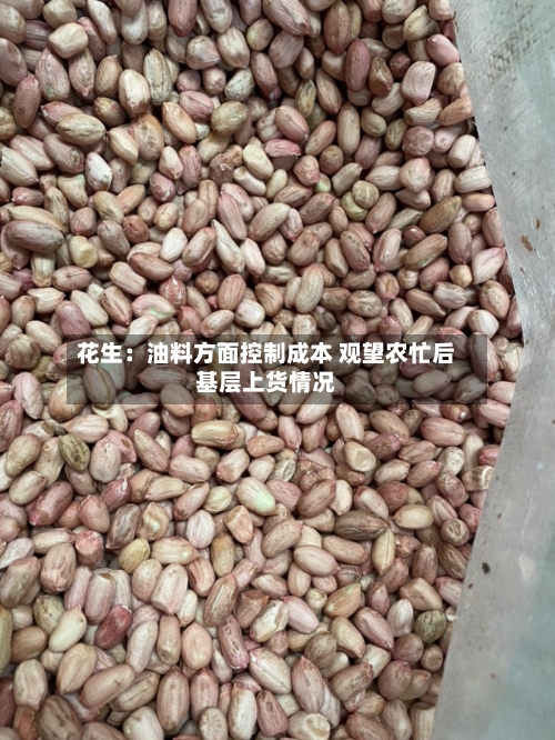 花生：油料方面控制成本 观望农忙后基层上货情况-第3张图片