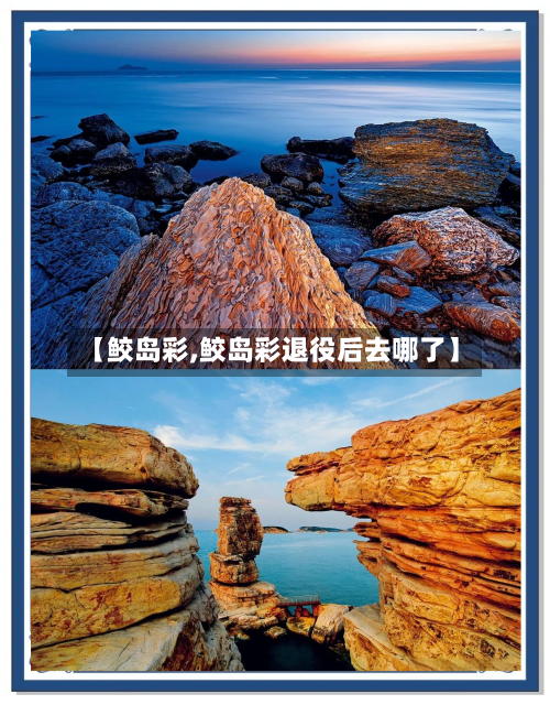 【鲛岛彩,鲛岛彩退役后去哪了】-第1张图片