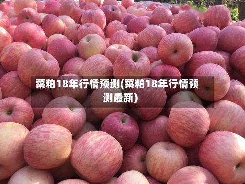 菜粕18年行情预测(菜粕18年行情预测最新)-第3张图片