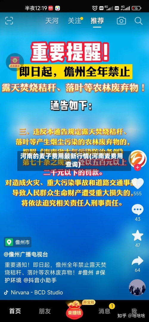 河南的麦子费用最新行情(河南麦费用查询)-第1张图片