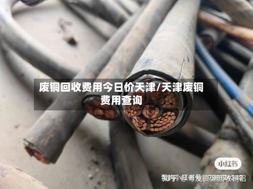 废铜回收费用今日价天津/天津废铜费用查询-第3张图片