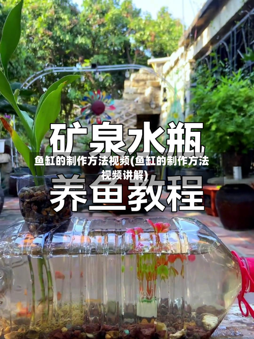 鱼缸的制作方法视频(鱼缸的制作方法视频讲解)-第1张图片