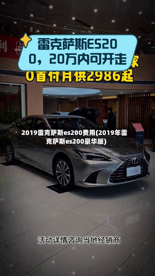 2019雷克萨斯es200费用(2019年雷克萨斯es200豪华版)-第1张图片