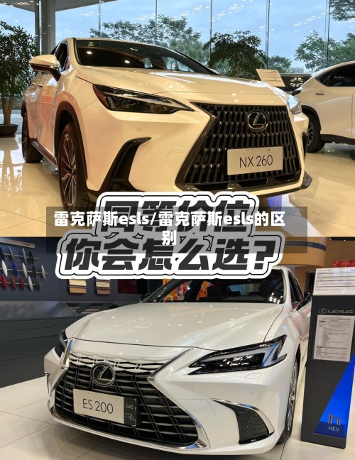 雷克萨斯esls/雷克萨斯esls的区别-第2张图片