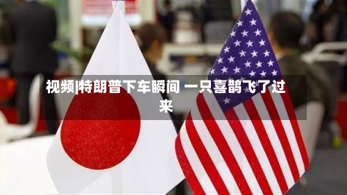 视频|特朗普下车瞬间 一只喜鹊飞了过来-第1张图片
