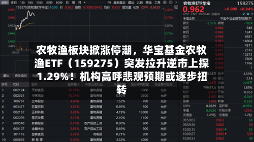 农牧渔板块掀涨停潮，华宝基金农牧渔ETF（159275）突发拉升逆市上探1.29%！机构高呼悲观预期或逐步扭转-第1张图片