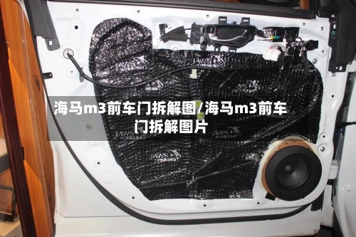 海马m3前车门拆解图/海马m3前车门拆解图片-第1张图片