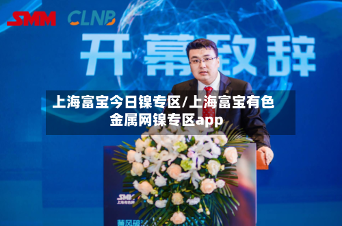 上海富宝今日镍专区/上海富宝有色金属网镍专区app-第1张图片