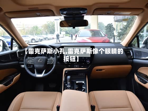 【雷克萨斯小孔,雷克萨斯像个眼睛的按钮】-第1张图片