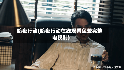 暗夜行动(暗夜行动在线观看免费完整电视剧)-第1张图片