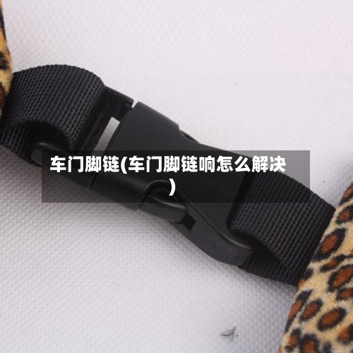 车门脚链(车门脚链响怎么解决)-第2张图片