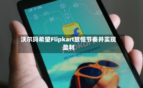 沃尔玛希望Flipkart放慢节奏并实现盈利-第3张图片