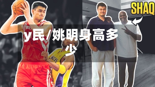 y民/姚明身高多少-第3张图片