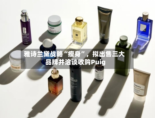 雅诗兰黛战略“瘦身”，拟出售三大品牌并洽谈收购Puig-第3张图片