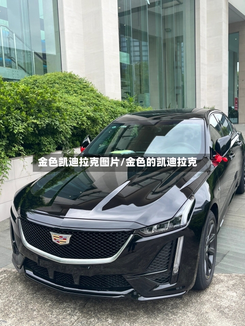 金色凯迪拉克图片/金色的凯迪拉克-第1张图片