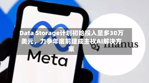 Data Storage计划初始投入至多30万美元，力争年底前建成主权AI解决方案-第3张图片