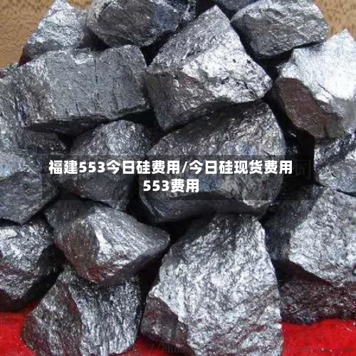 福建553今日硅费用/今日硅现货费用553费用-第2张图片