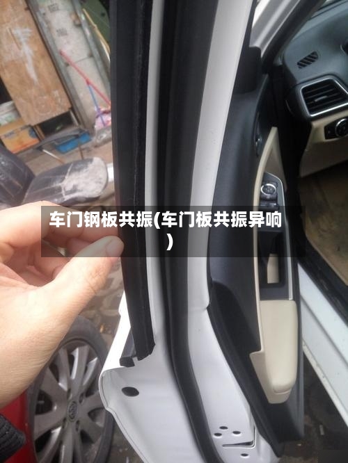 车门钢板共振(车门板共振异响)-第2张图片