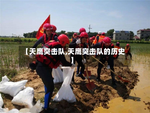 【天鹰突击队,天鹰突击队的历史】-第1张图片