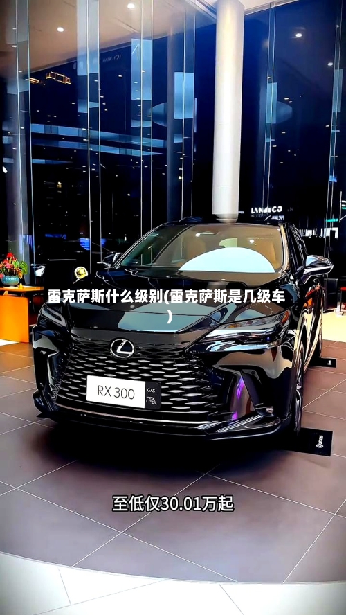 雷克萨斯什么级别(雷克萨斯是几级车)-第1张图片