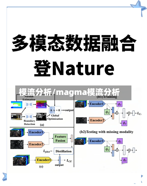 模流分析/magma模流分析-第1张图片